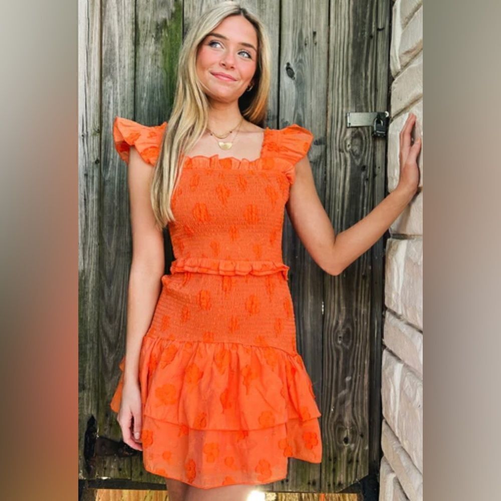 NWT Willa Story CIA dress